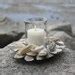 Oyster Shell Candle Holder