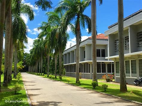 Back to the University – University of Peradeniya, Sri Lanka - Leisure and Me