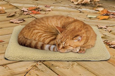 5 Best Outdoor Heating Pads For Cats (Must Read Reviews) For September ...