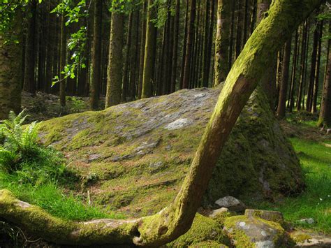 Gougane Barra Forest Park - County Cork • Go-to-Ireland.com