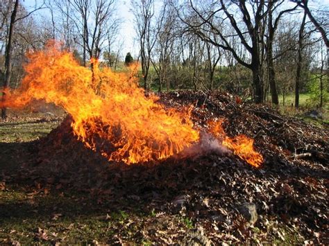 Maynard Life Outdoors and Hidden History of Maynard: Leaf Pile - Burn ...