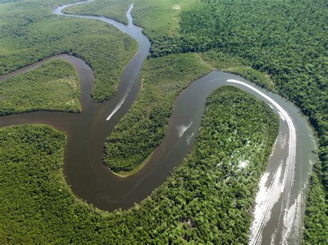 Breve historia sobre el río Amazonas | Viajes del Perú - Travel Blog sobre el Perú