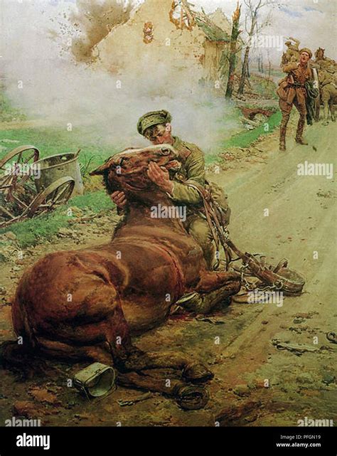 Ww1 War Horse Stock Photos & Ww1 War Horse Stock Images - Alamy