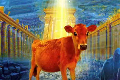 Morning Rundown: 'Massive Altar' for Red Heifer Sacrifice Constructed in Israel - Charisma ...