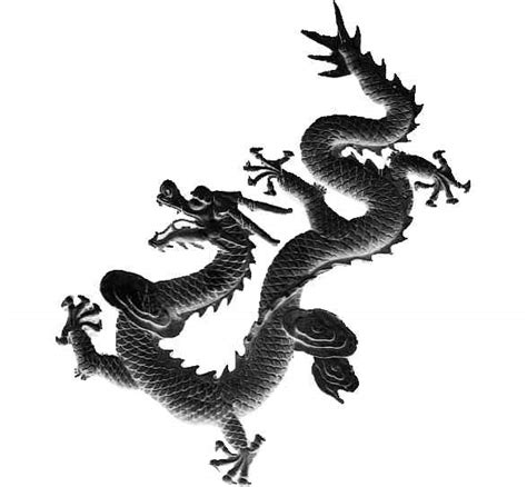 Los Dragones Chinos | El Bestiario del Hypogripho Dorado
