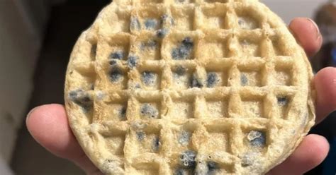 ‘Blueberry’ Waffle Goes Viral For The Grossest Reason