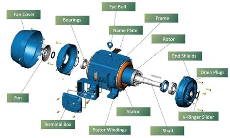 3-Phase AC Motors: Types, Design Characteristics and Common Use ...