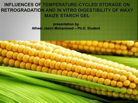 Influences of temperature cycled storage on retrogradation and in | PPT