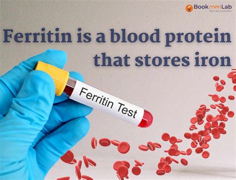 Ferritin Test Price, Purpose, Result & Range [2025] • Bookmerilab