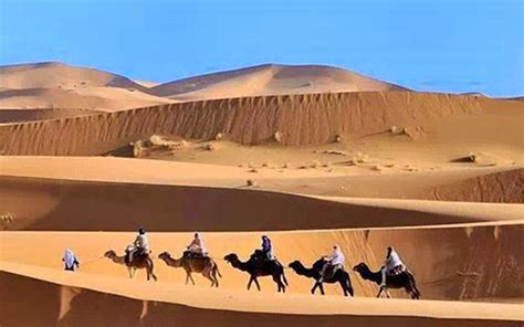 Desert Safaris in Saudi Arabia