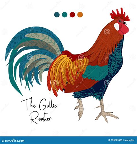 Vector Image Of Gallic Rooster | CartoonDealer.com #120525585