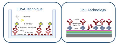 ELISA technique protocol for IFN-γ detection and PoC technology... | Download Scientific Diagram