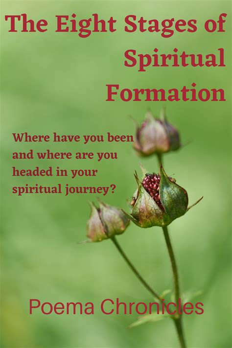 Spiritual Formation: The Eight Stages of Growth | Spiritual formation, Faith encouragement ...