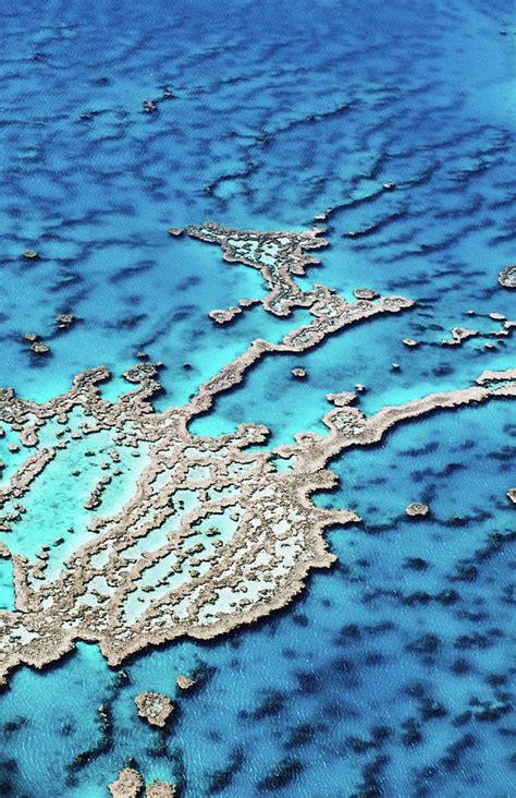 Aerial Of Hardy Reef, Near Whitsunday by Holger Leue