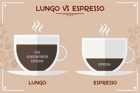 Lungo vs Espresso: Main Differences (With Pictures) | Coffee Affection