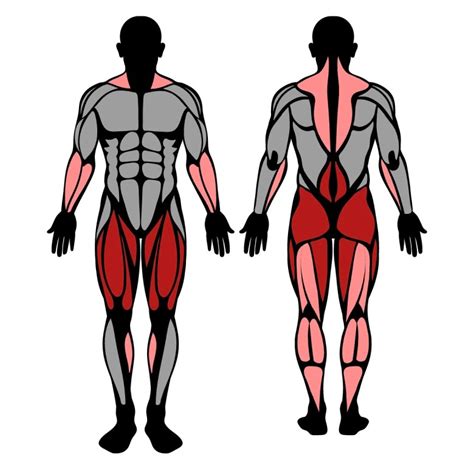 Deadlift vs. Squat: Muscles Worked, Benefits, and Strength Ratio ...