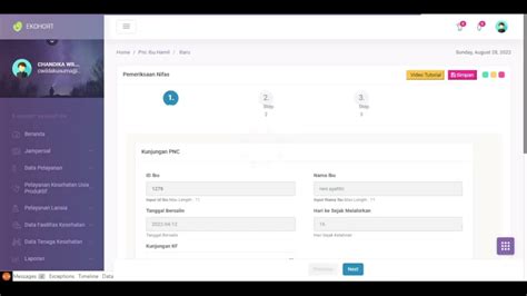 Cara Menambahkan Data Ibu Nifas kedalam Ekohort - YouTube