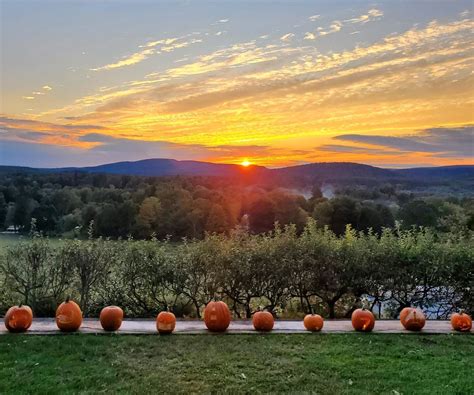 Pumpkin Shows at Long Hill and Naumkeag Headline Trustees' Halloween ...