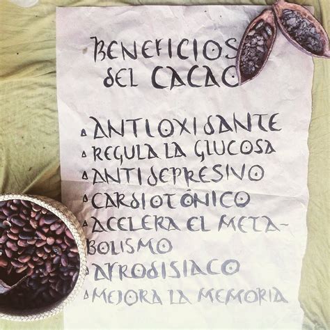 Amor y Cacao - ♥ Beneficios de la maravillosa semilla del...