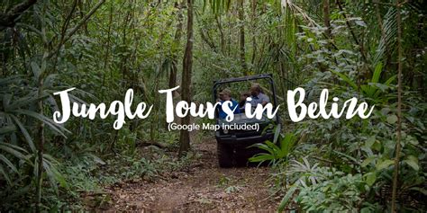 Best Jungle Tours in Belize | Your Belize Experts