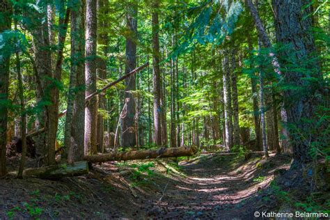 5 Great Hikes in Oregon’s Mt. Hood Territory | Travel the World