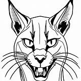 Menacing Wild Caracal coloring page Lulu Pages sketch template