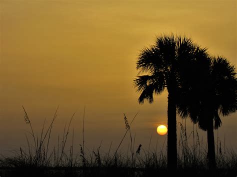 A Wanderer's View: A Saharan Dust Sunset