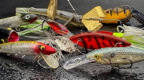 The Different Types of Fishing Bait for 2023 - OutdoorPulse