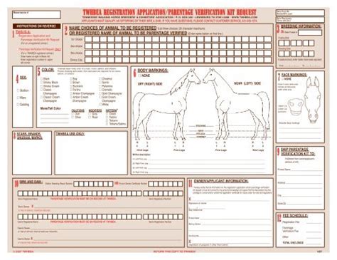 Registration Application - Tennessee Walking Horse Breeders' and ...