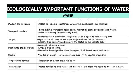 Chemical & Physical Properties Of Water – The Theoretical Doctor