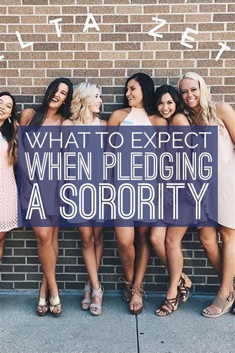 What To Expect When Pledging A Sorority - Society19 | Sorority, College sorority, College ...