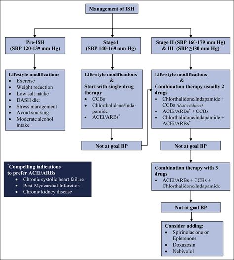 Isolated Systolic Hypertension: An Update After SPRINT - The American ...