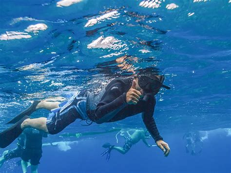 13 New Snorkeling Adventures in Maui - Hawaii Travel Guide