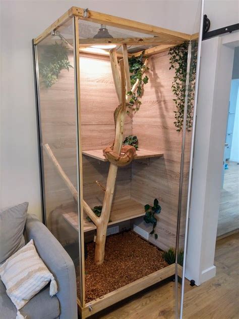 Snake enclosure made with shower cabin, Severus Snake seems to be very ...