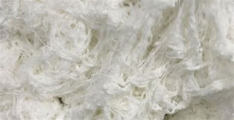 Rayon fibre | Physical and chemical properties of rayon fibre - Textile ...