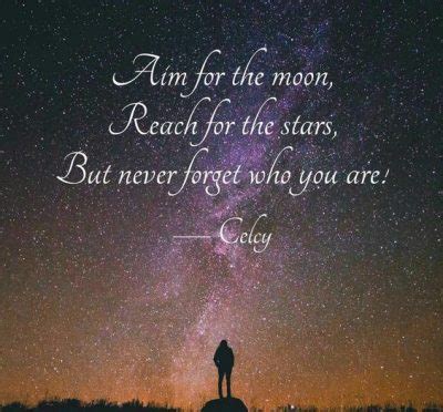 Top 40 Reach For the Stars Quotes & Sayings To Inspire You – The Random ...