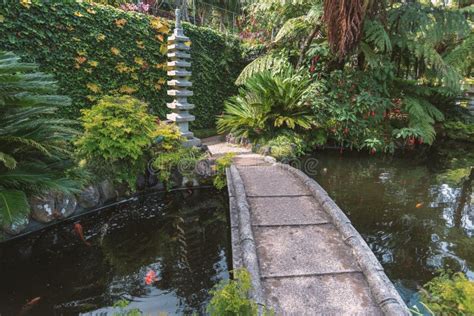 Zen garden bridge stock photo. Image of bridge, tropical - 177904550