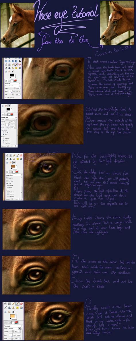 Horse Eye Tutorial by oOo-Alouette-oOo on DeviantArt