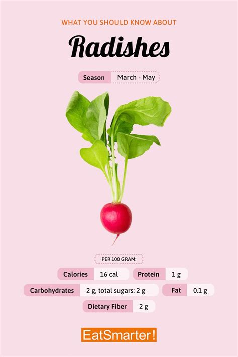 Radish | Eat Smarter USA