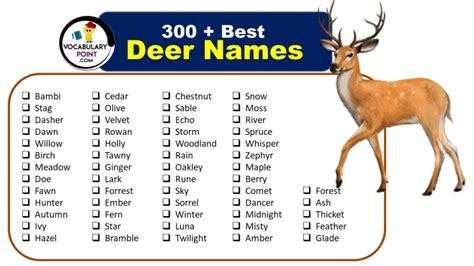 300+ Best Deer Names (Pet, Cute & Cool) - Vocabulary Point