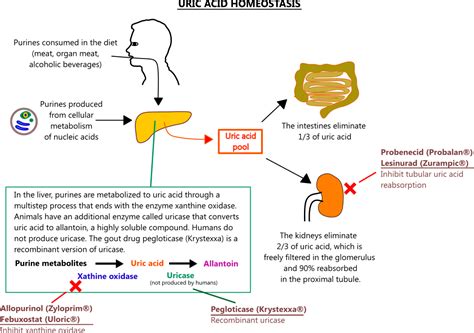 Gout medications