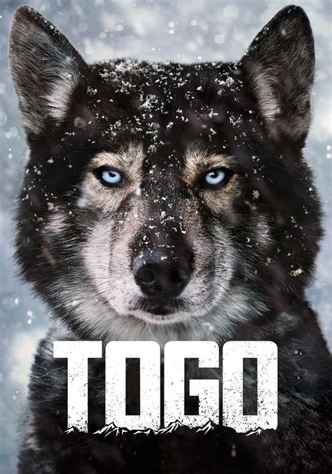 Togo | Movie fanart | fanart.tv