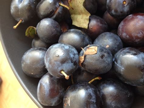 It’s Seasonal: Damson Cheese and Damson Butter | The Savage & The Sage