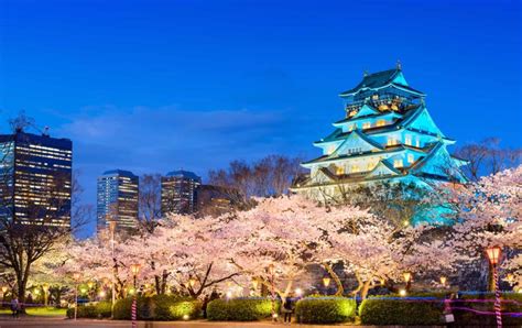 The Best Spots to See Cherry Blossoms Around Osaka | LaptrinhX / News