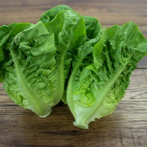 Lettuce Little Gem - McCullagh Simply Fresh