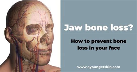 Jaw bone loss? [how to prevent facial bone loss] - A younger skin