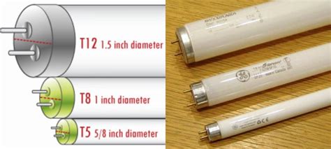 🇧🇷 What Is The Difference Between T8 And T12 Fluorescent Tubes ...