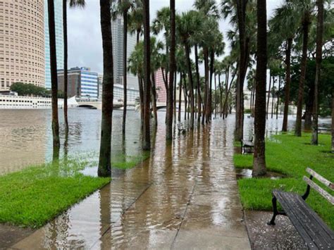 Idalia storm surge brings extensive flooding to downtown Tampa's ...