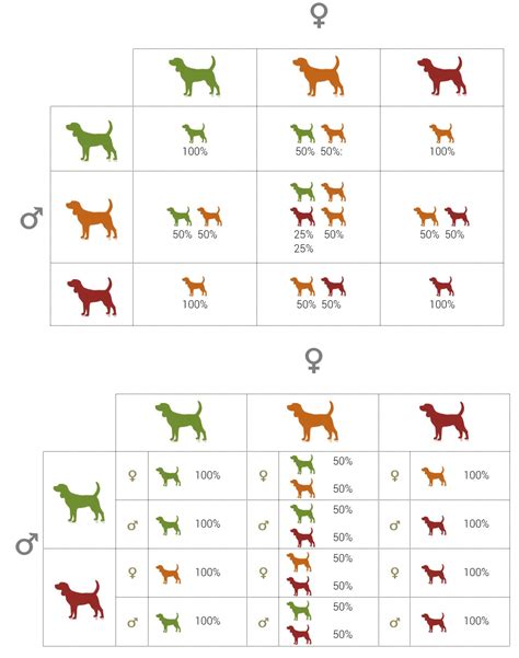 Dog Genetics - Introduction to Modes of Inheritance - AnimaLabs©