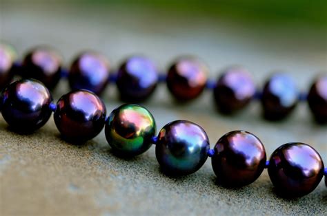 Splendid Dark Purple Pearl Necklace - Etsy